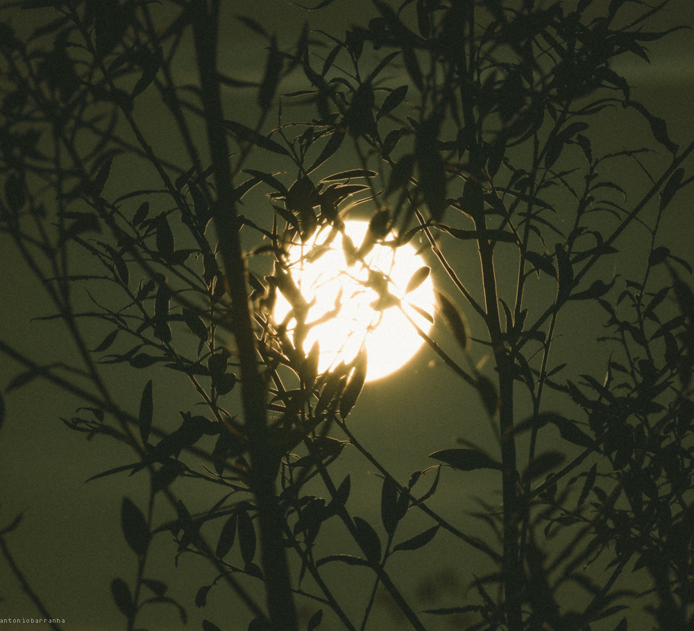 Contraluz Outubro 2014-4.jpg